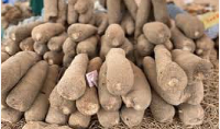 According to the Queen mother the custom will unify the farmers and marketers