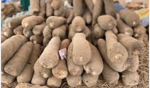 According to the Queen mother the custom will unify the farmers and marketers According to the Queen mother the custom will unify the farmers and marketers