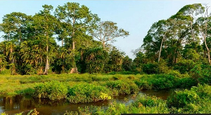 Odzala-Kokoua National Park is one of 23 protected areas run by African Parks