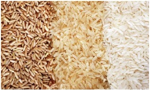 Chief Executive Officer of the FDA, said sample of rice alleged to be plastic proved to be authentic