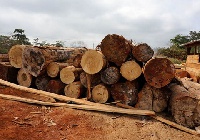 Exporters of timber and timber products would have to meet certain criteria for FLEGT licenses