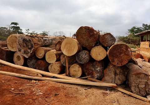 Timber is one of Ghana's natural resources