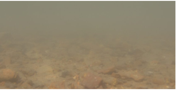 Image of murky water