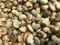 File photo of raw cashew nuts