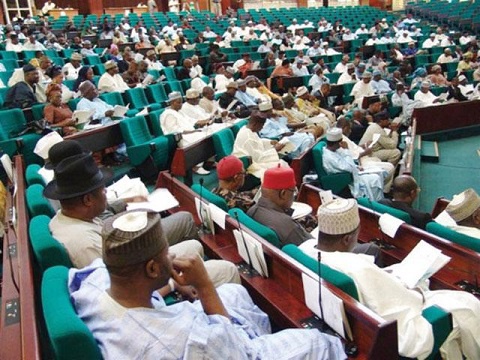 File photo: Most Nigerian lawmakers don't how to handle the pressure their constituents give them