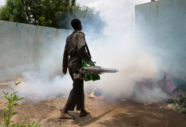 Sudanese authorities and the United Nations have reported a surge in cholera cases