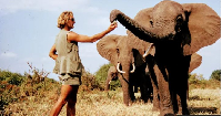 Douglas-Hamilton spent his life studying and campaigning to protect African elephants