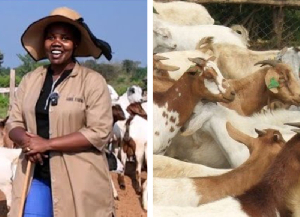 Sarah Atuhaire is a goat farmer making millions