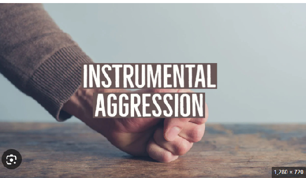 Nana Akwah is the author of this article