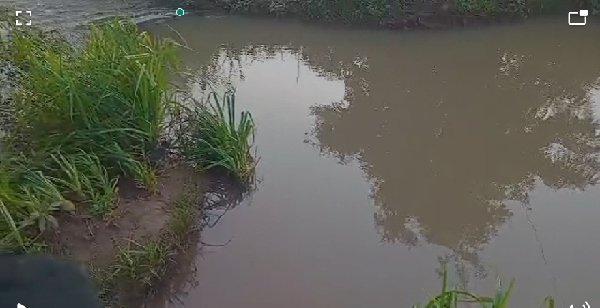 The contaminated water in the area