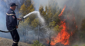Firefighters battle a blaze in Algeria last month