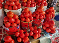 Some fresh tomatoes displayed for sale | File Photo