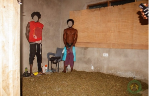 NACOC Catches Drug Lords Volta