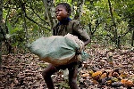 Labour minister declares first child labour-free zone in three farming communities