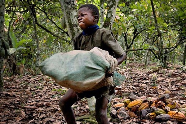 The world’s top cocoa producer is under increasing pressure to clamp down on forced child labour
