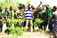 Youth in Afforestation Program beneficiaries directed to exit office by govt