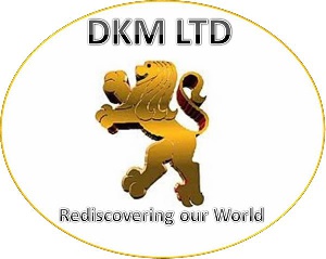 Dkm Lion