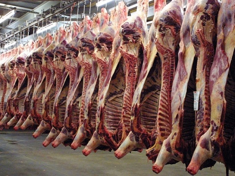 Workers of Kumasi abattoir want MD sacked