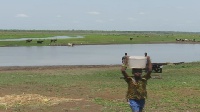 Residents of the community have to share water they use for domestic purposes with cattle, reptiles