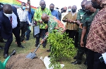 President Akufo-Addo participates in the 2021 Green Ghana Project