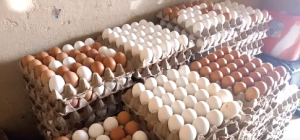 File photo of crates of eggs