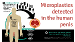 Microplastic invasion in human bodies