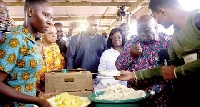 Akufo-Addo tasting some pineapples at the farm for the 