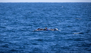 Screenshot 2026 02 09 101155.png