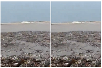 A screenshot of the footage
