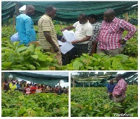 The farmers receiving the seedlings