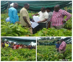 The farmers receiving the seedlings