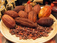 According to COCOBOD, Ghana's Cocoa was not rejected as being alleged by the Chronicle newspaper