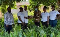 Ghana Export Promotion Authority  distributed the seedlings to farmers