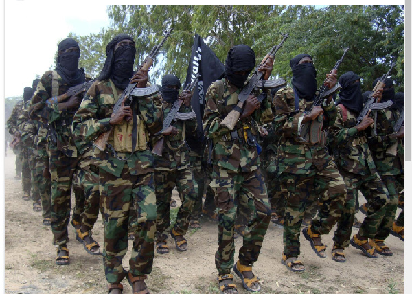 Al-Shabab has been waging an insurgency in Somalia for almost two decades