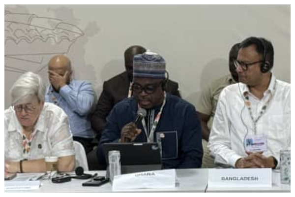 Issifu Seidu is the Minister of State in charge of Climate Change and Sustainability