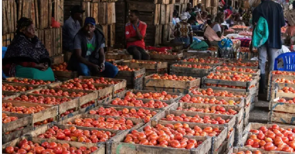 Tomato Famers Association of Nigeria (TFA) don express fear say tomato go soon scarce