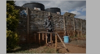 A man uses a bucket to collect safe drinking water for his family in Kuwadzana township