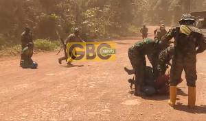 The task force rounded up the illegal miners