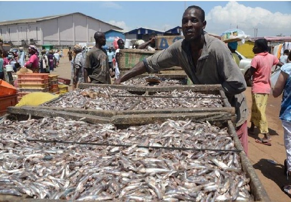 File photo : Some measures have been introduced to sustain the fishermen during the closed season