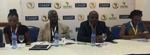 CAADP Coordinator, Africa Union Commission, Komla Bisi (2nd from right).