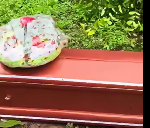 Confusion as family leaves relative’s body in bush after village denied land for burial