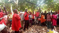The farmers protested to register their displeasure over the sale of cocoa farmlands