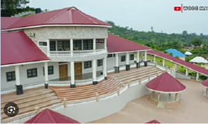 See the plush interior of the Kasapreko founder’s ‘forest mansion’