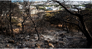 Charred forestland following a fire, Ghar El Melh, Tunisia, 22 July 2026 Charred forestland following a fire, Ghar El Melh, Tunisia, 22 July 2026