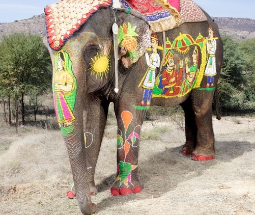 Beautifully painted Elephant