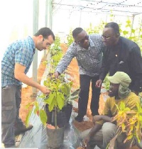 Dr Afriyie Akoto gets an explanation on avocado grafting at the Agro Studies demonstration farm