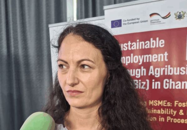 Sarah Rüffler is Portfolio Lead for Agribusiness at GIZ