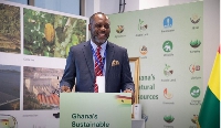 Energy Minister, Dr. Matthew Opoku Prempeh
