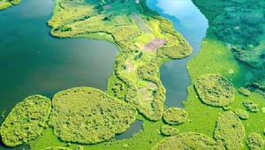 Africa's wetlands and ponds are critical ecosystems that support vast biodiversity