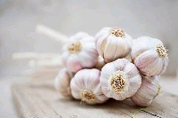 A file photo of garlic